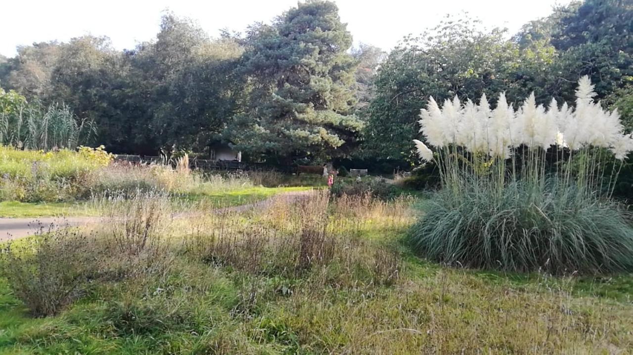 Many Worlds Meet - Eurostar, Wimbledon 30 Mins, Central London, Gatwick 15 Mins - Spacious, Sleeps Up To 16 Plus Cot - Free Wifi, Parking - Next To Lloyd Park, Great For Families, Walkers, Relocators - Ideal For Contractors Кройдон Екстериор снимка