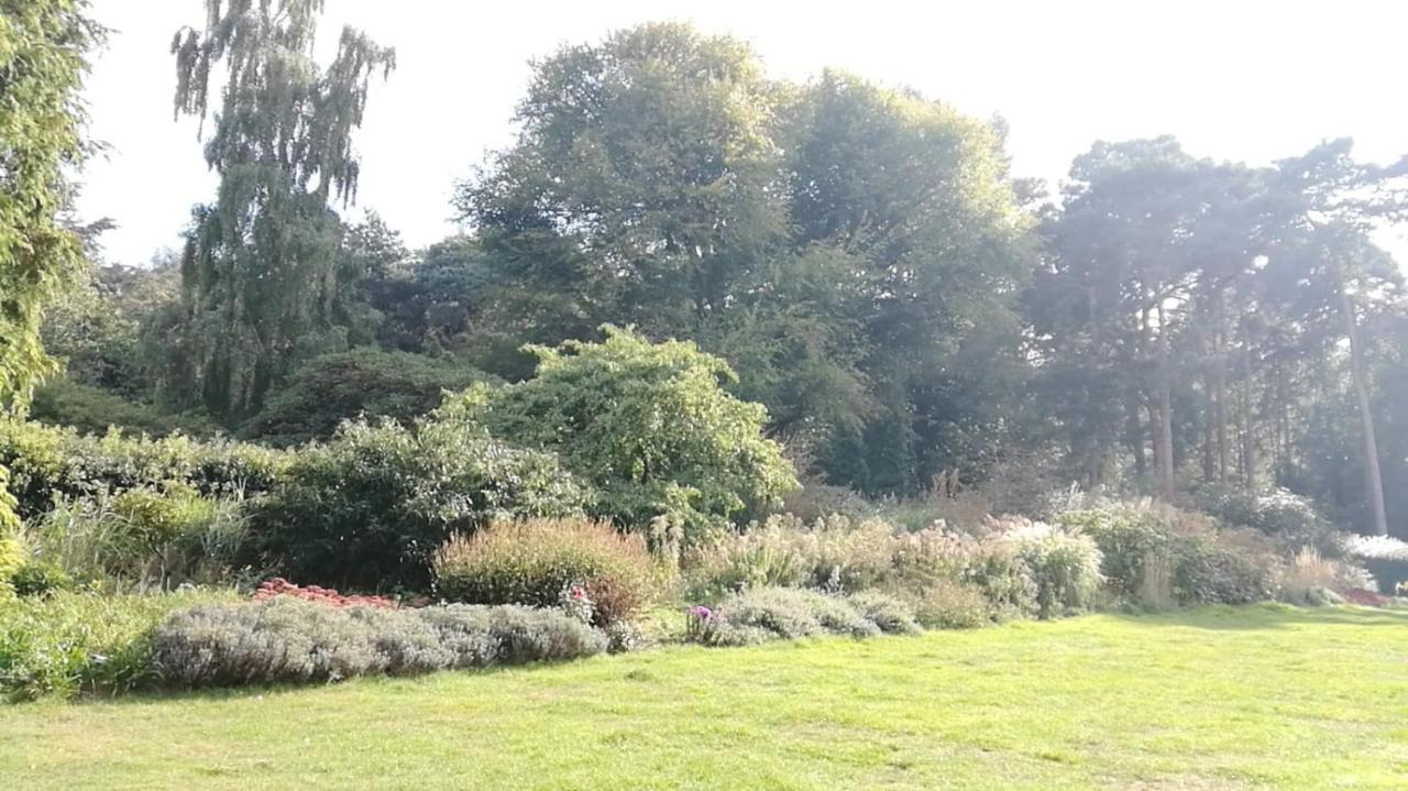 Many Worlds Meet - Eurostar, Wimbledon 30 Mins, Central London, Gatwick 15 Mins - Spacious, Sleeps Up To 16 Plus Cot - Free Wifi, Parking - Next To Lloyd Park, Great For Families, Walkers, Relocators - Ideal For Contractors Кройдон Екстериор снимка
