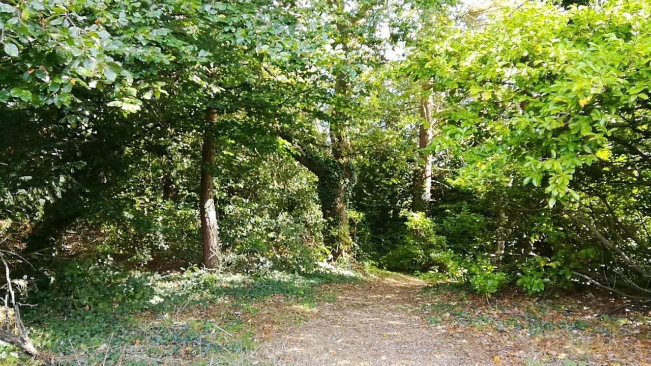 Many Worlds Meet - Eurostar, Wimbledon 30 Mins, Central London, Gatwick 15 Mins - Spacious, Sleeps Up To 16 Plus Cot - Free Wifi, Parking - Next To Lloyd Park, Great For Families, Walkers, Relocators - Ideal For Contractors Кройдон Екстериор снимка