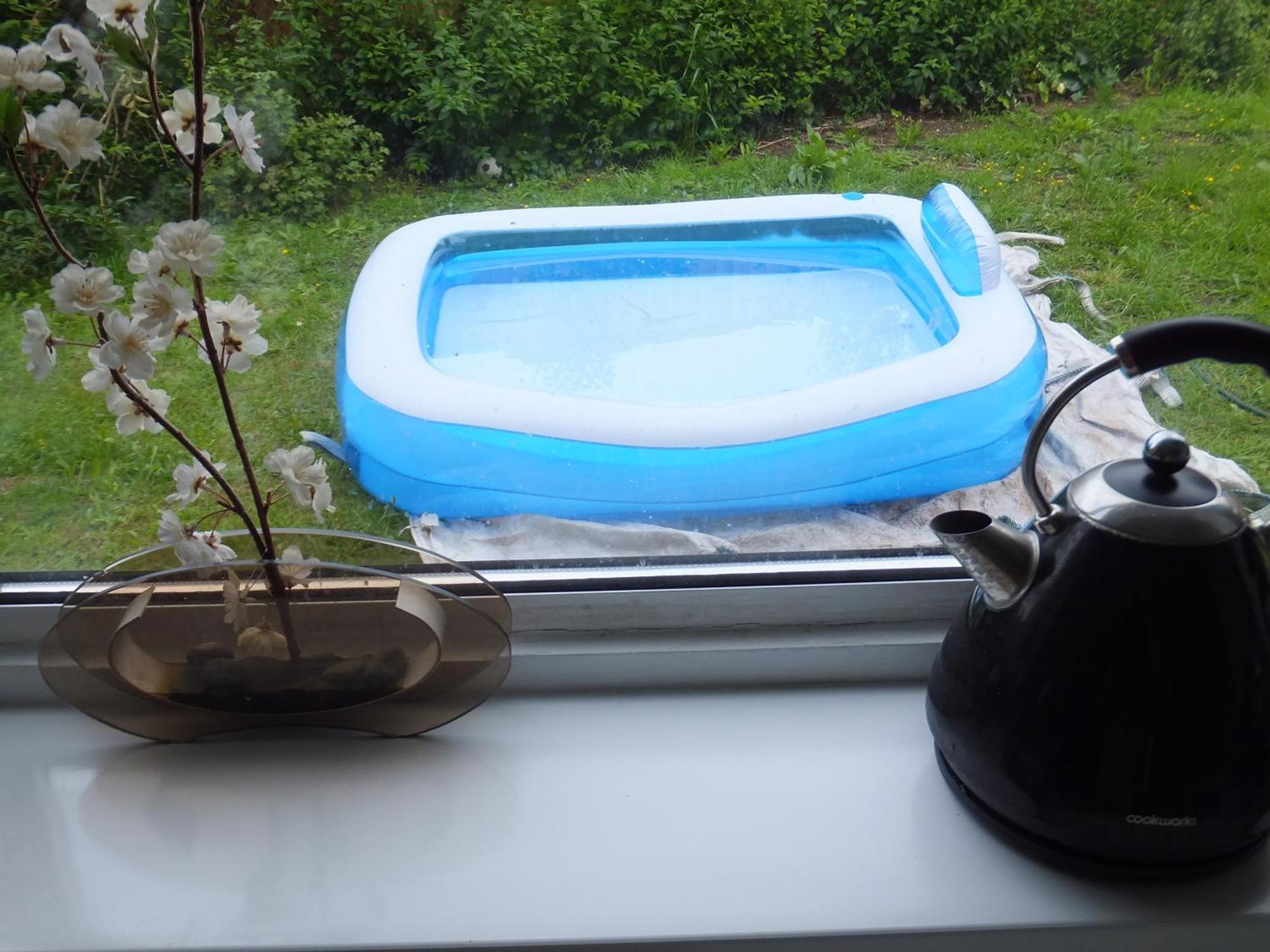 Many Worlds Meet - Eurostar, Wimbledon 30 Mins, Central London, Gatwick 15 Mins - Spacious, Sleeps Up To 16 Plus Cot - Free Wifi, Parking - Next To Lloyd Park, Great For Families, Walkers, Relocators - Ideal For Contractors Кройдон Екстериор снимка